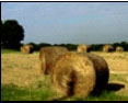 agricultural-hay-rolls-small