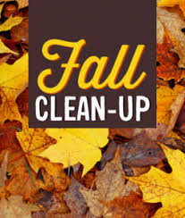 fall cleanup