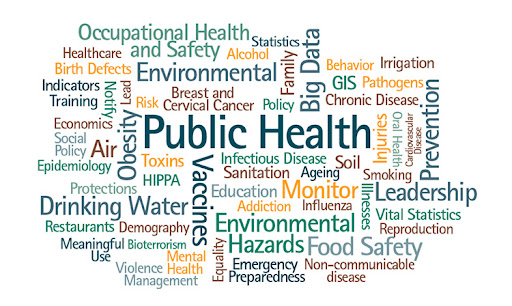 Public Health