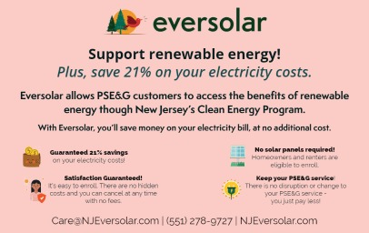 eversolar AD news-1