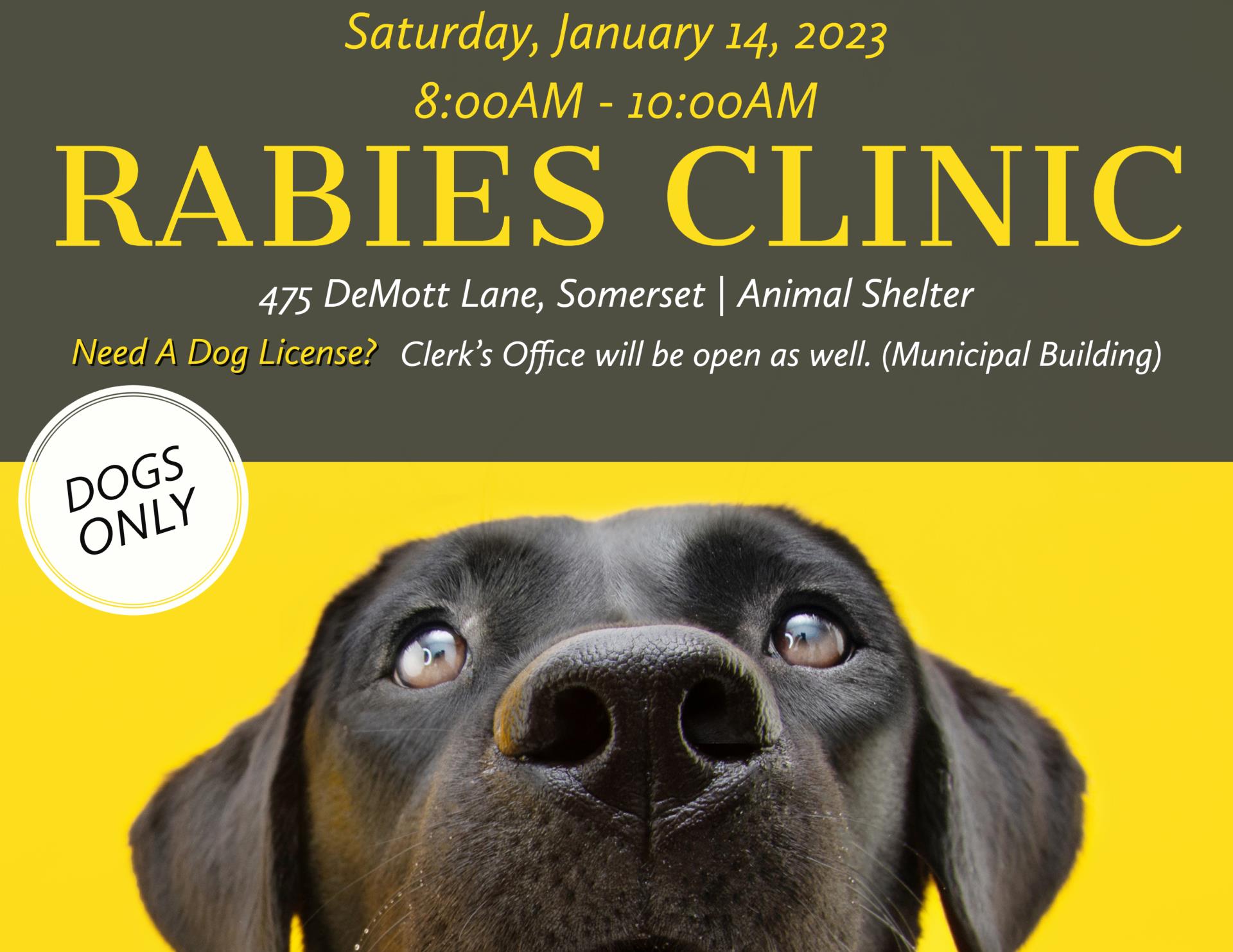 rabies clinic-4