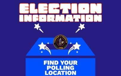 election info