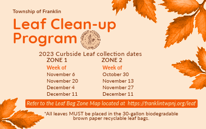 Leaf Cleanup-5-news