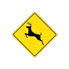 deer crossing