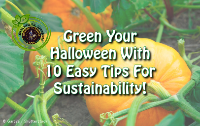 Halloween tips Environmental Commission-1-news