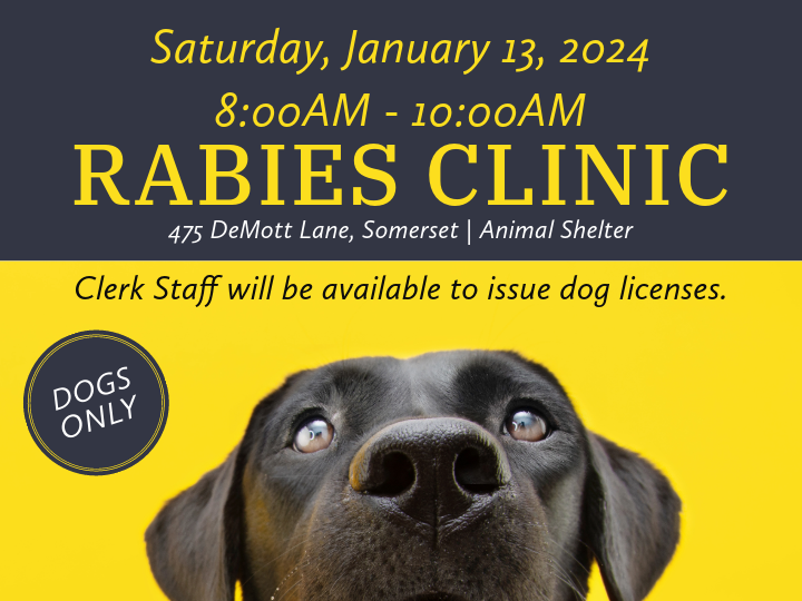 rabies clinic-6