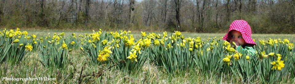 Griggstown_grassland_orange_trail0413 - Wilson