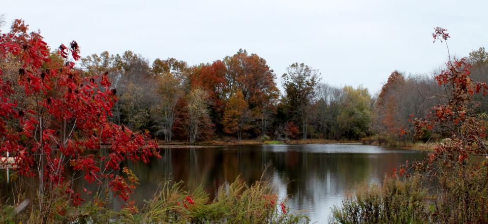 Colonial Park Fall Pic