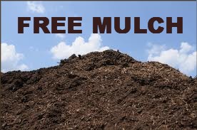 mulch