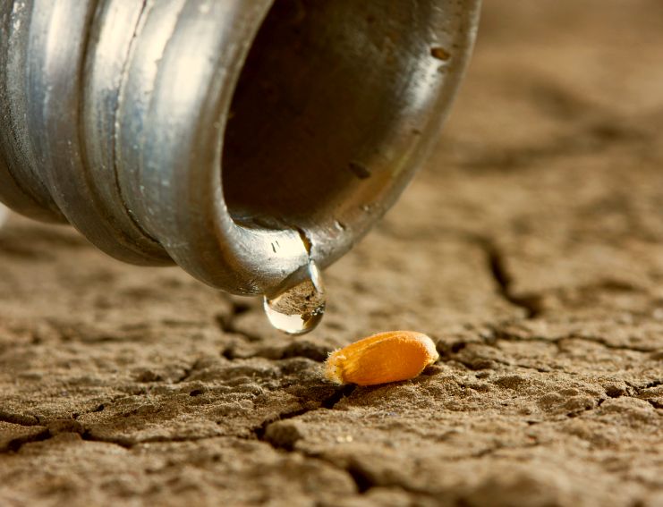 california-drought-Anes-iStock