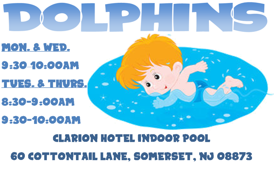 Dolphins Swimming Ad